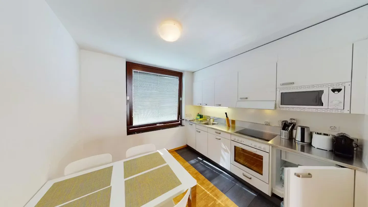 Modern Apartment in Basel - Photo 7 of 10