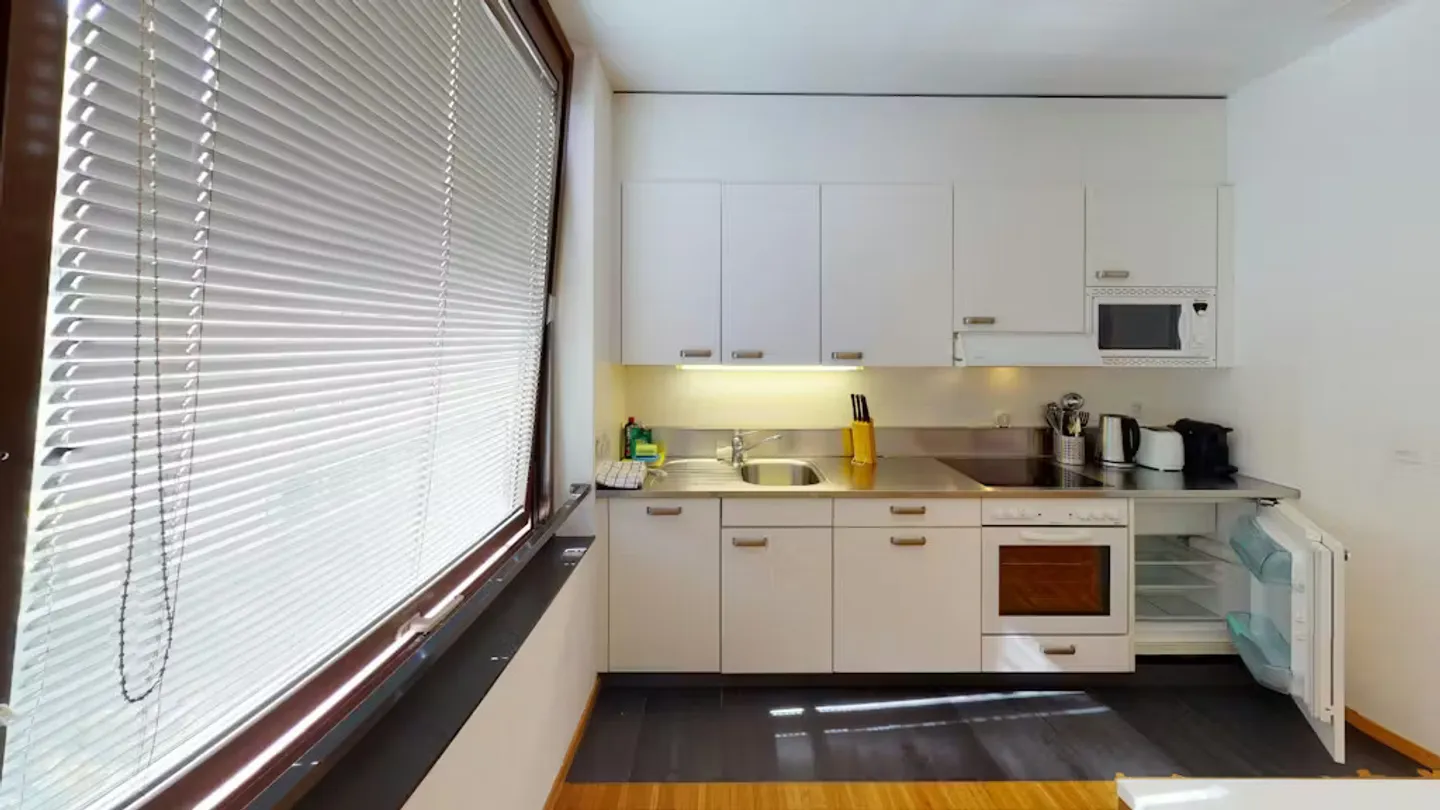 Modern Apartment in Basel - Photo 9 of 10