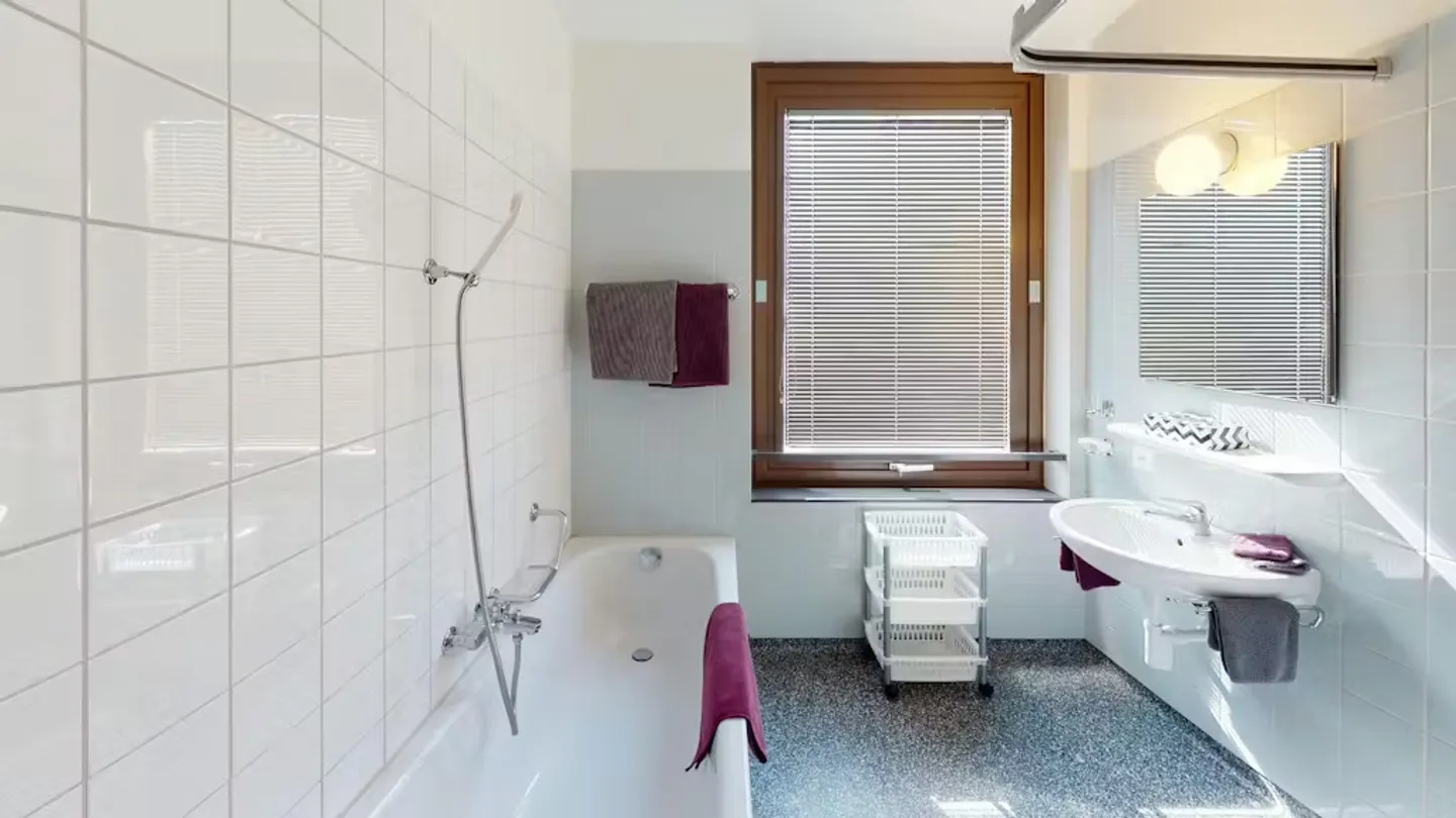 Modern Apartment in Basel - Photo 10 of 10