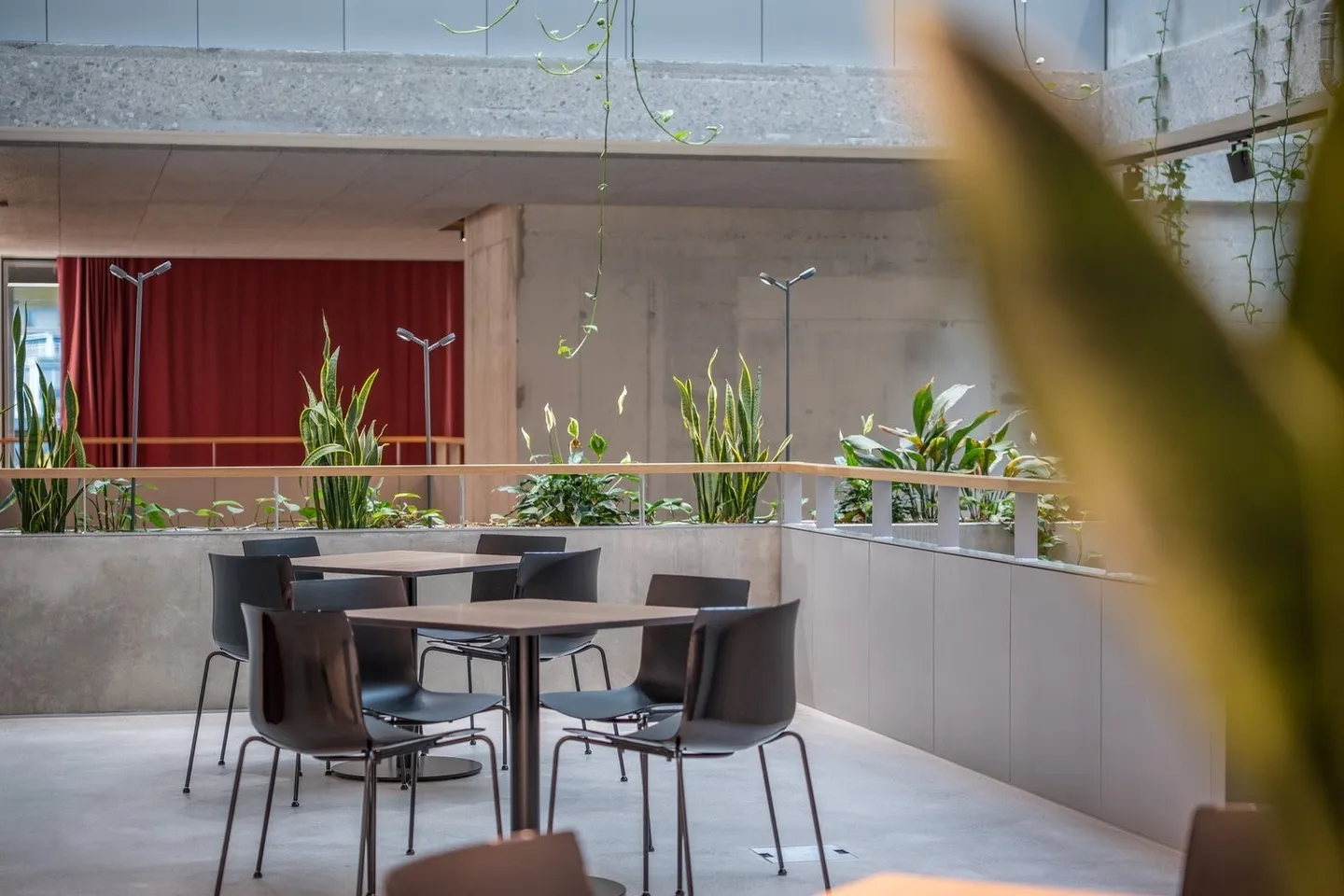 Commercial Spaces in Prime Location in Zurich Altstetten - Photo 8 of 9