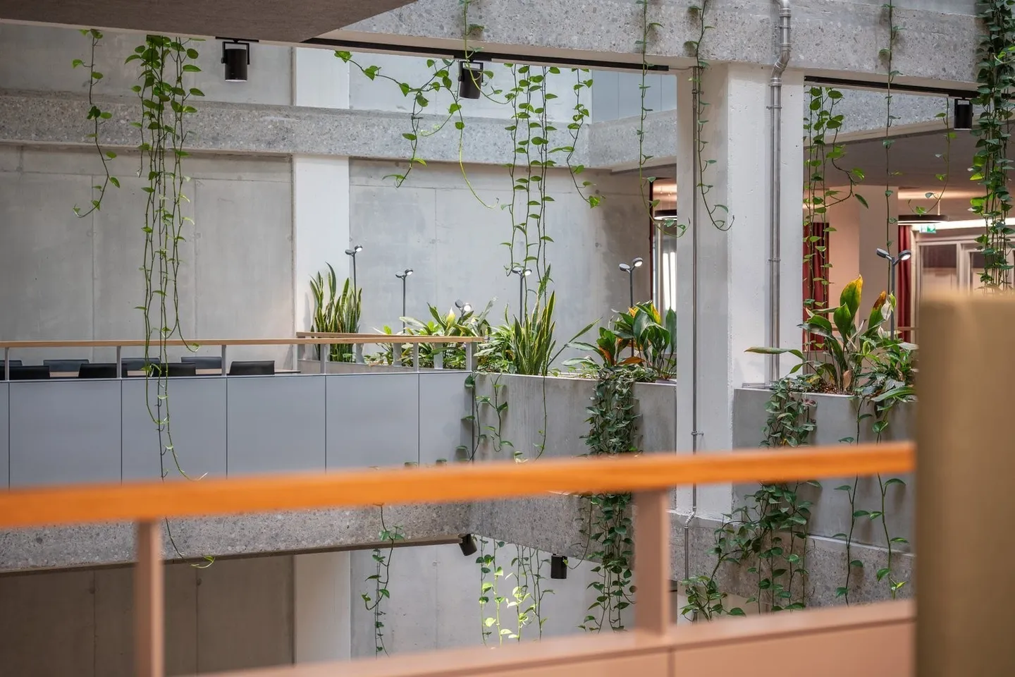 Commercial Spaces in Prime Location in Zurich Altstetten - Photo 7 of 9