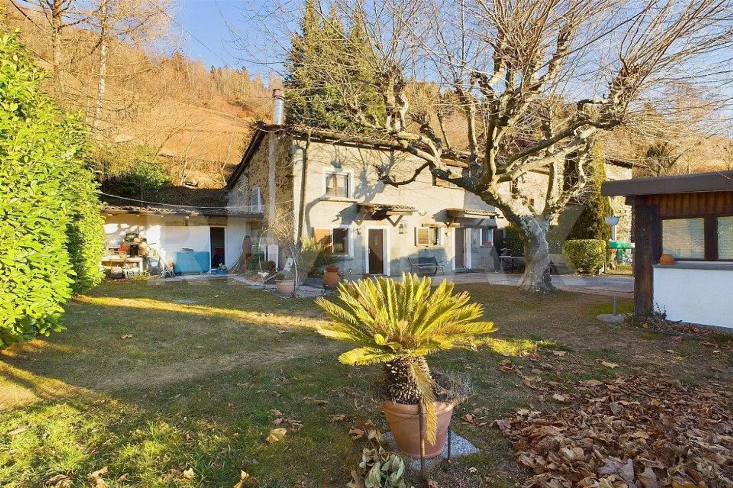 Charmantes Landhaus mit Panoramablick auf den Luganer See – Ihr Rückzugsort inmitten der Natur - Foto 6 von 13