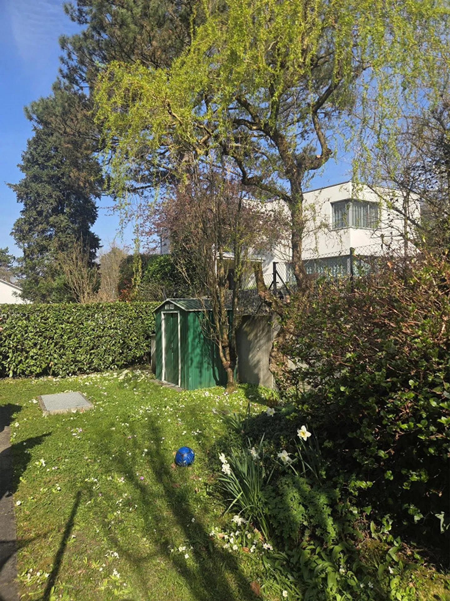4.5-room apartment with two seating areas and garden on the Bruderholz - Photo 6 of 8