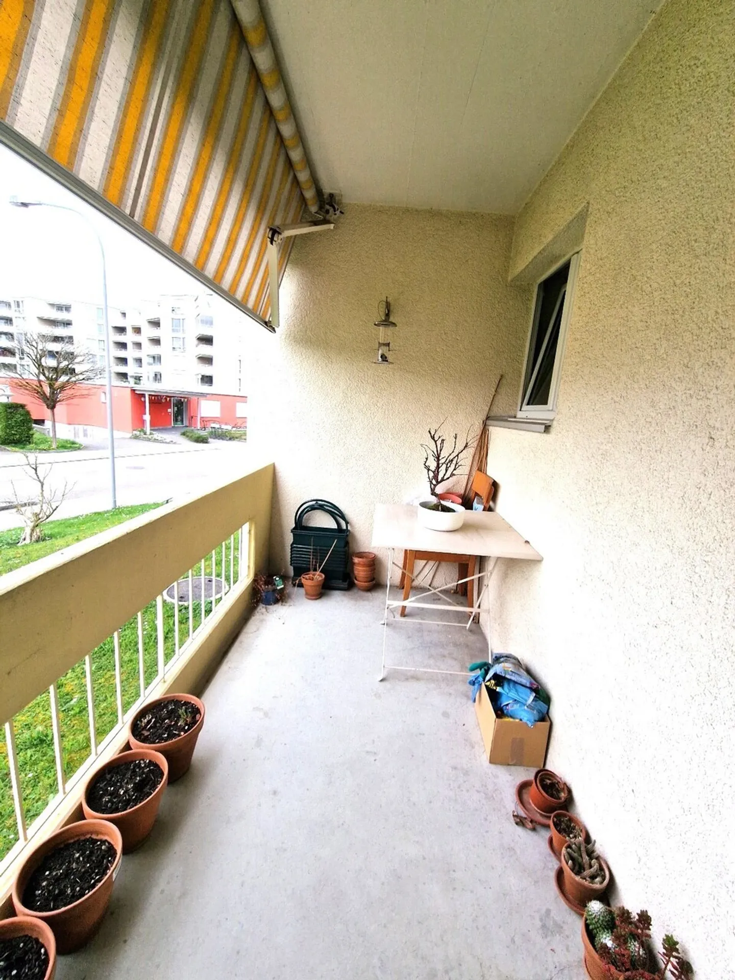 Piccolo ma bel appartamento - Foto 4 di 8