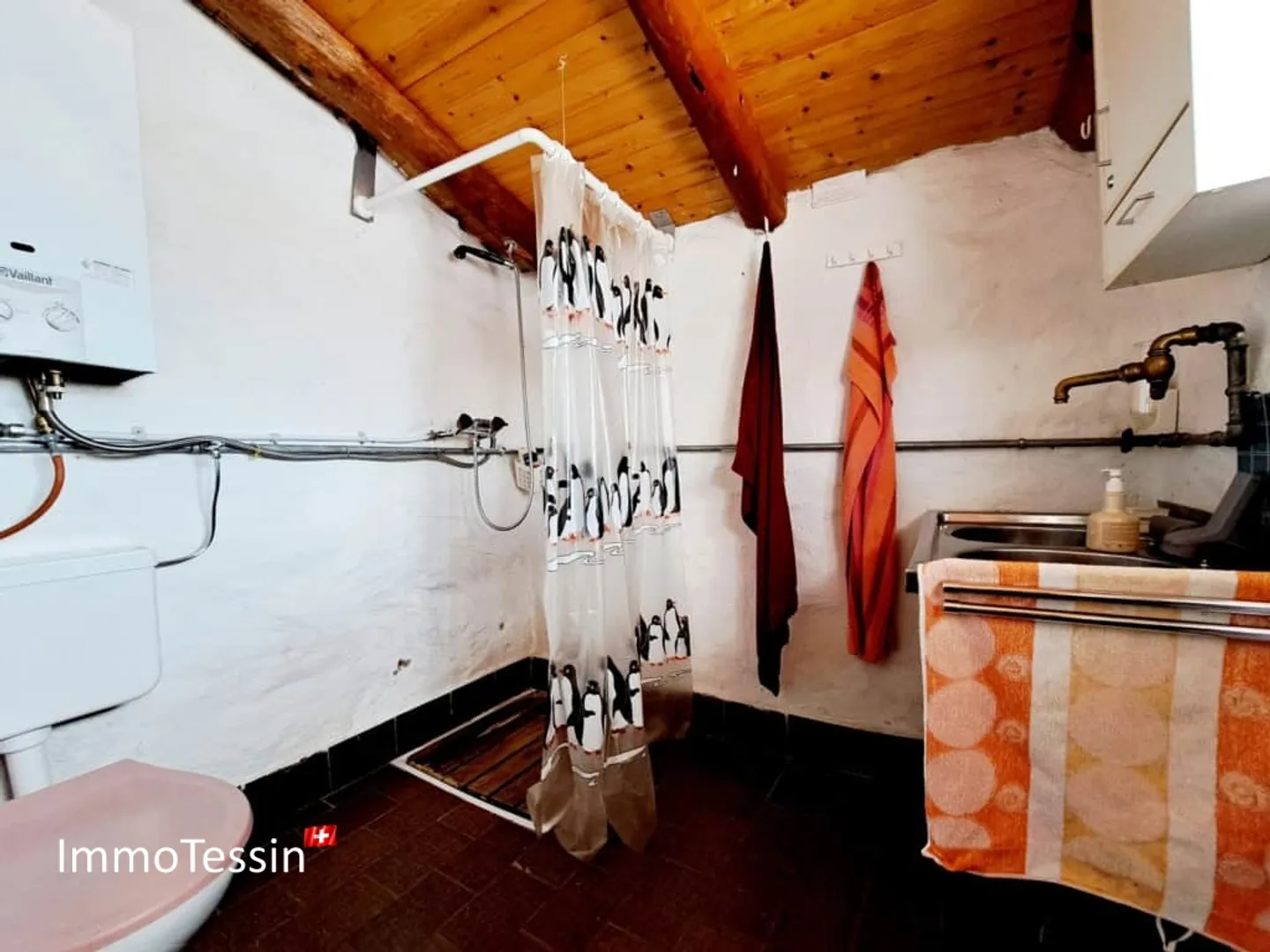 Rustico con vista mozzafiato sulle montagne ticinesi e 6360 m2 di terreno - Foto 13 di 13