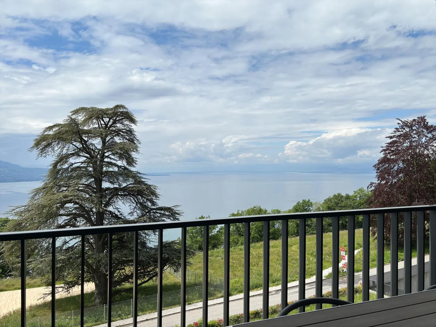 Appartamento nel Cuore di Lavaux con Vista Panoramica sul Lago - Foto 20 di 29
