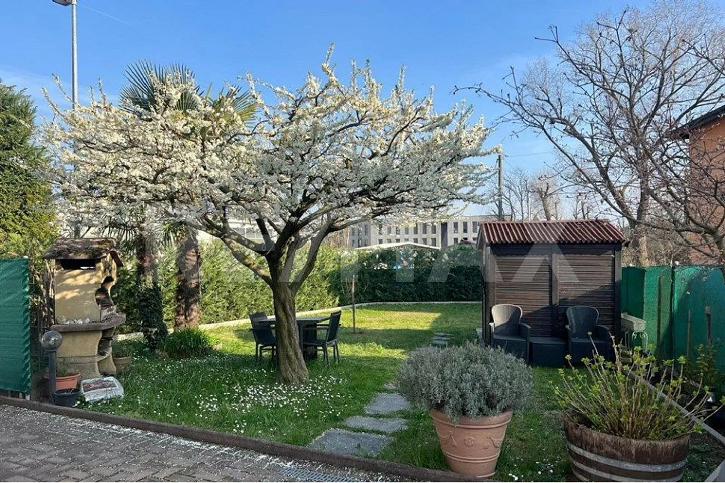 Casa singola in affitto - Foto 5 di 13