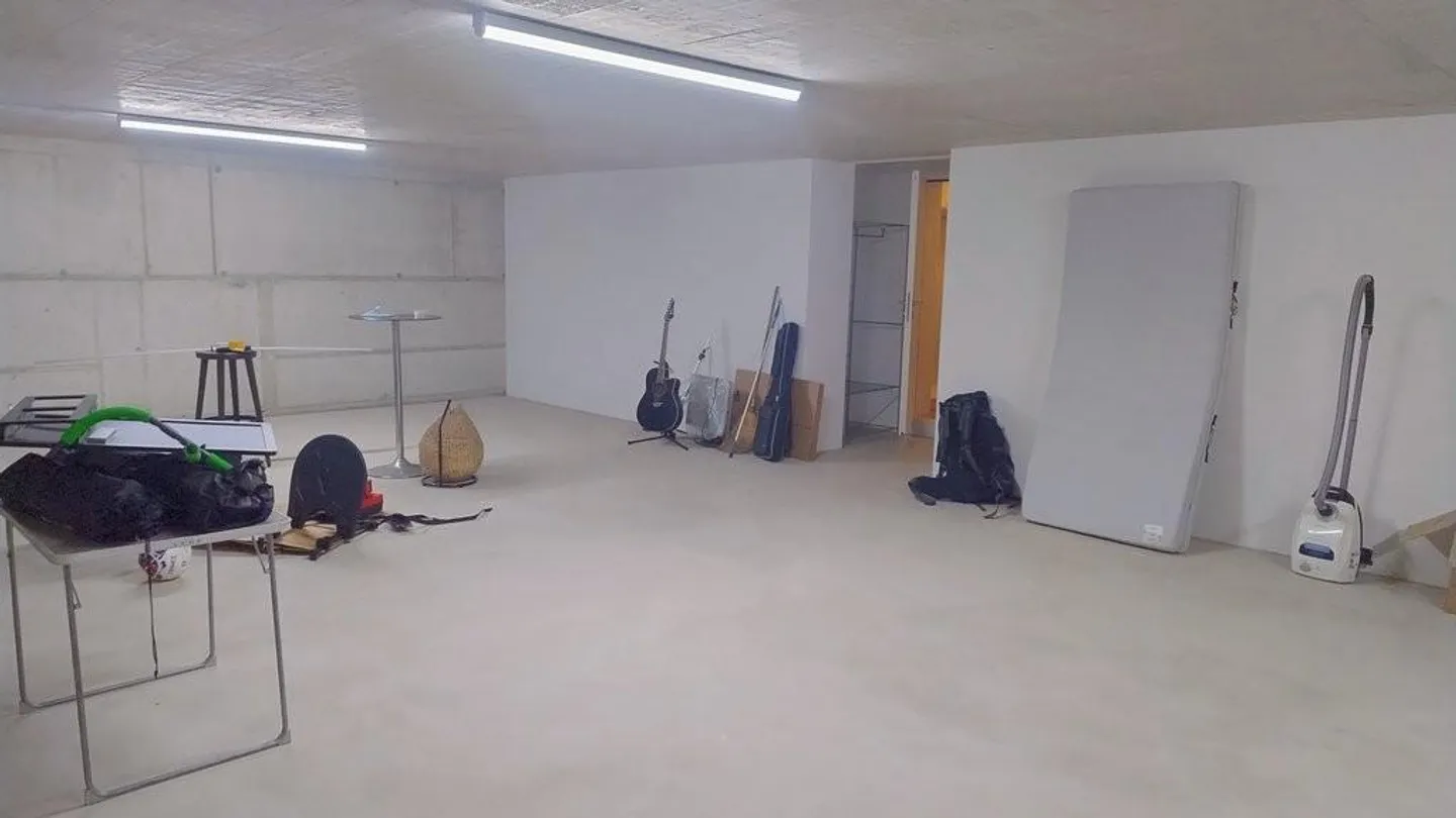Spazioso magazzino in affitto - Foto 3 di 3