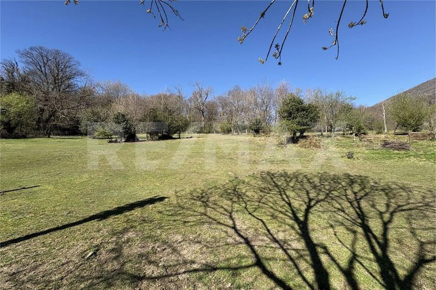 Terrain constructible au milieu de la nature, idéal pour les amoureux des chevaux - Photo 6 sur 7