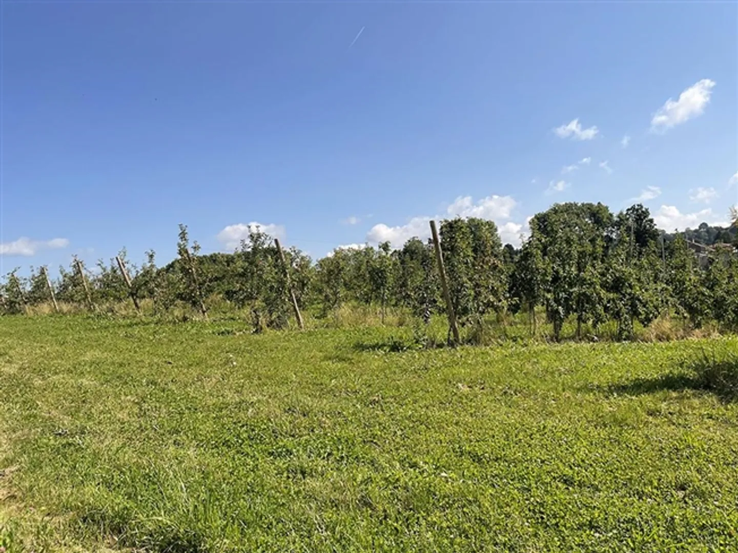 Apartment for sale, 1052, in Lausanne (District), Switzerland - Photo 2 of 3