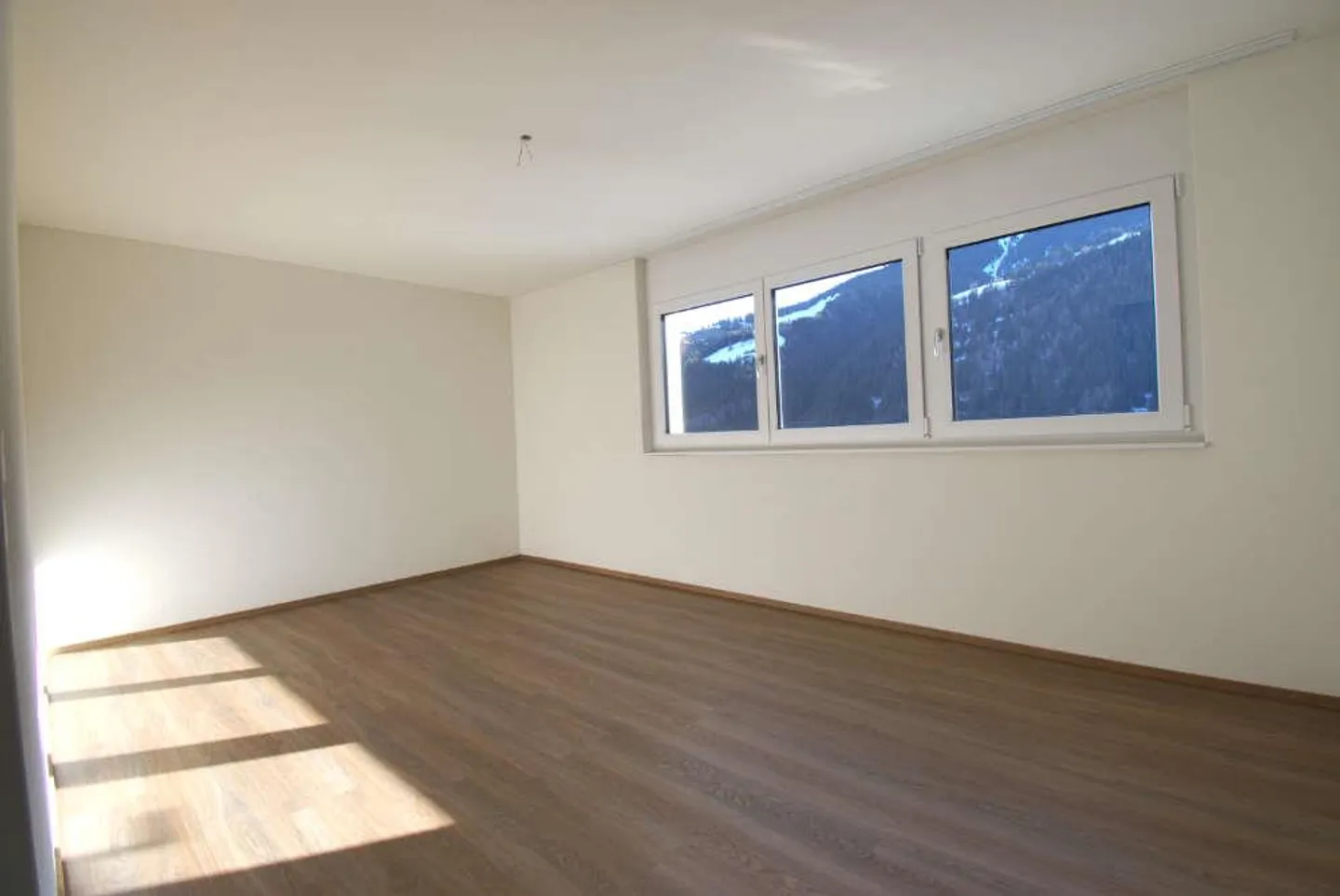 Spacious 4.5-Room Apartment - Photo 10 of 19