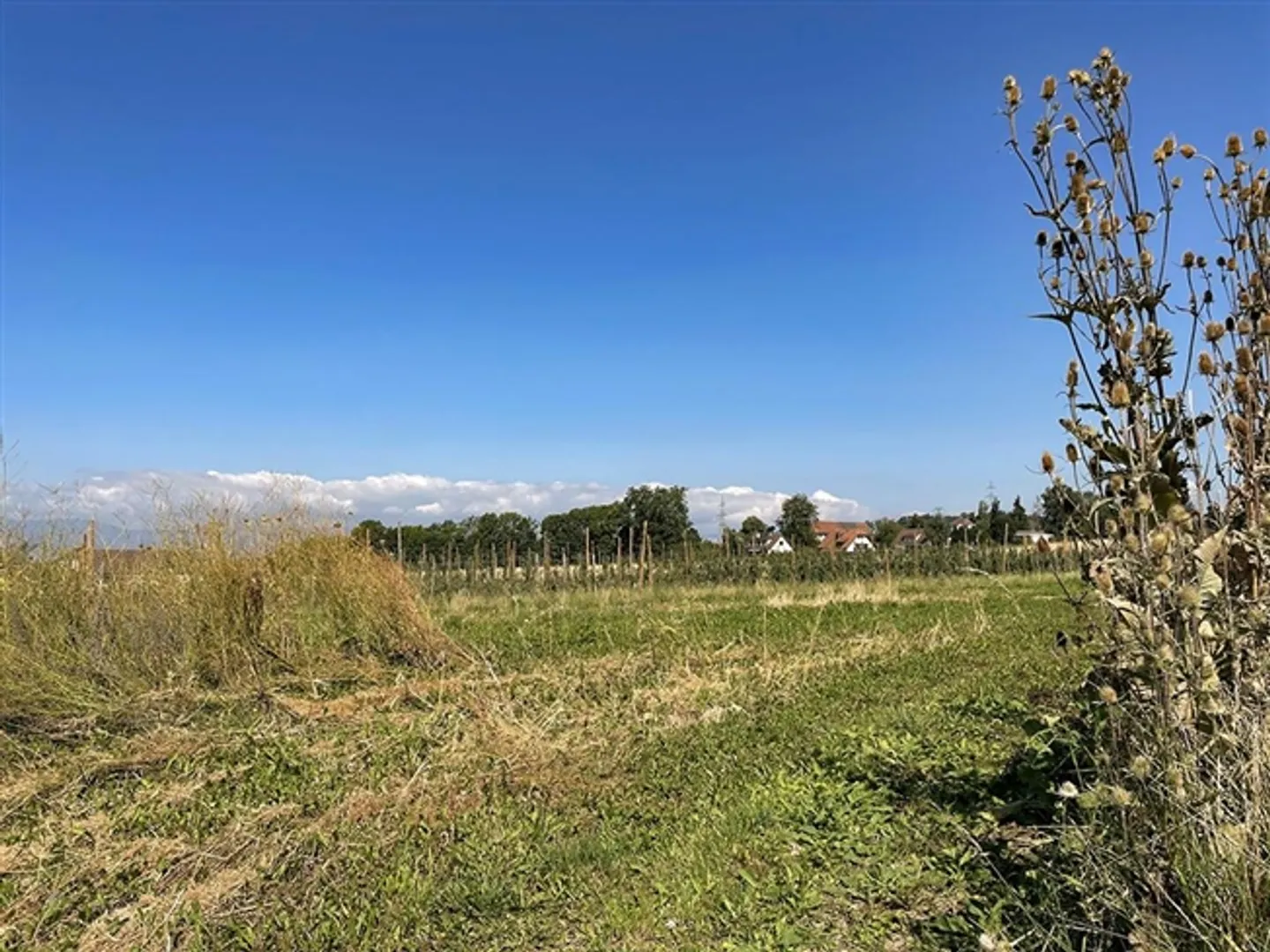 Apartment for sale, 1052, in Lausanne (District), Switzerland - Photo 3 of 3