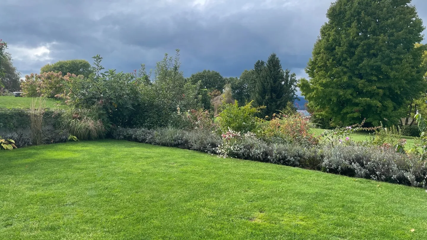 Casa a schiera in affitto - Foto 19 di 20