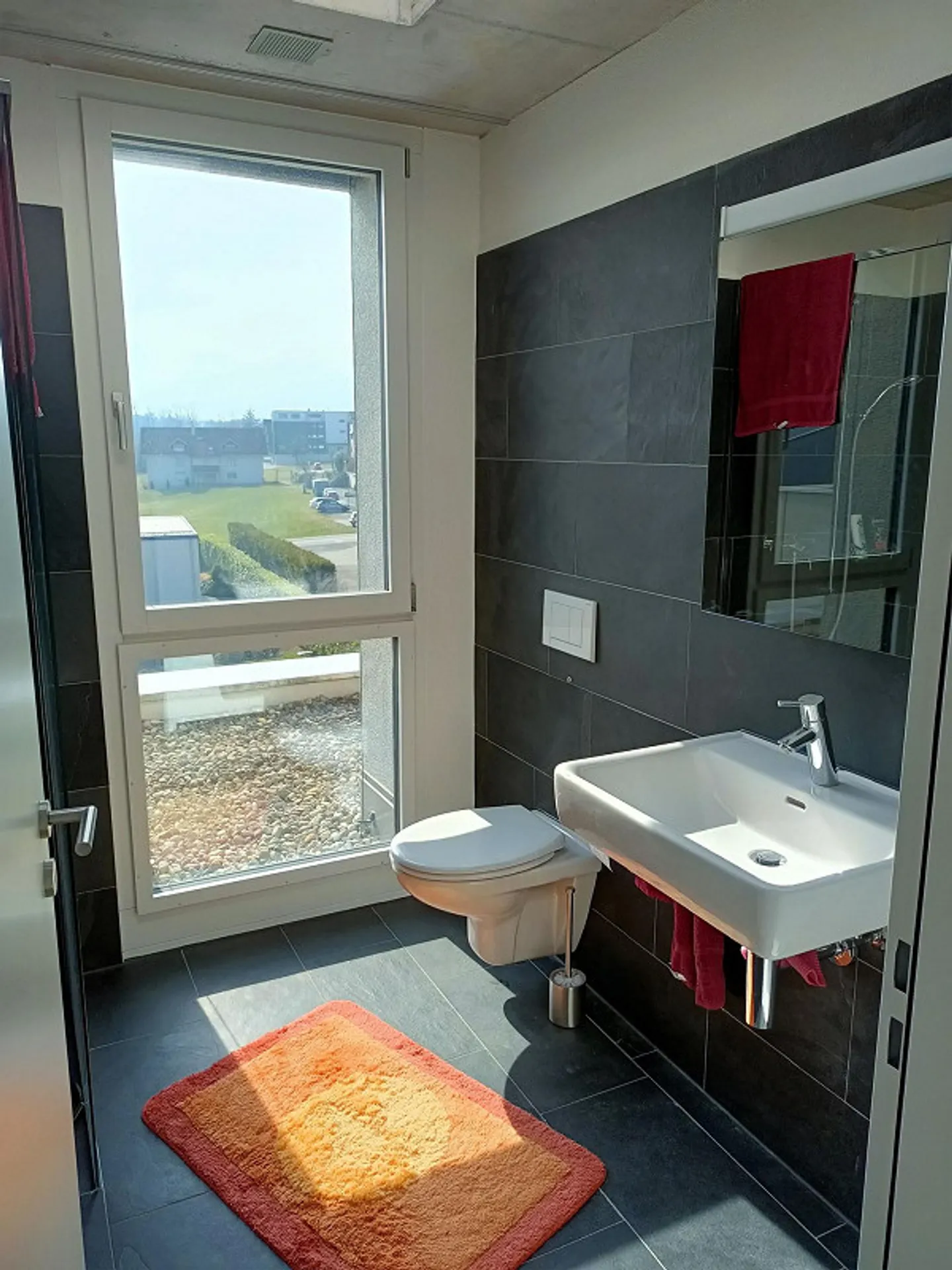 Modern 2.5 room apartment for rent with a view of the mountains - Photo 5 of 7