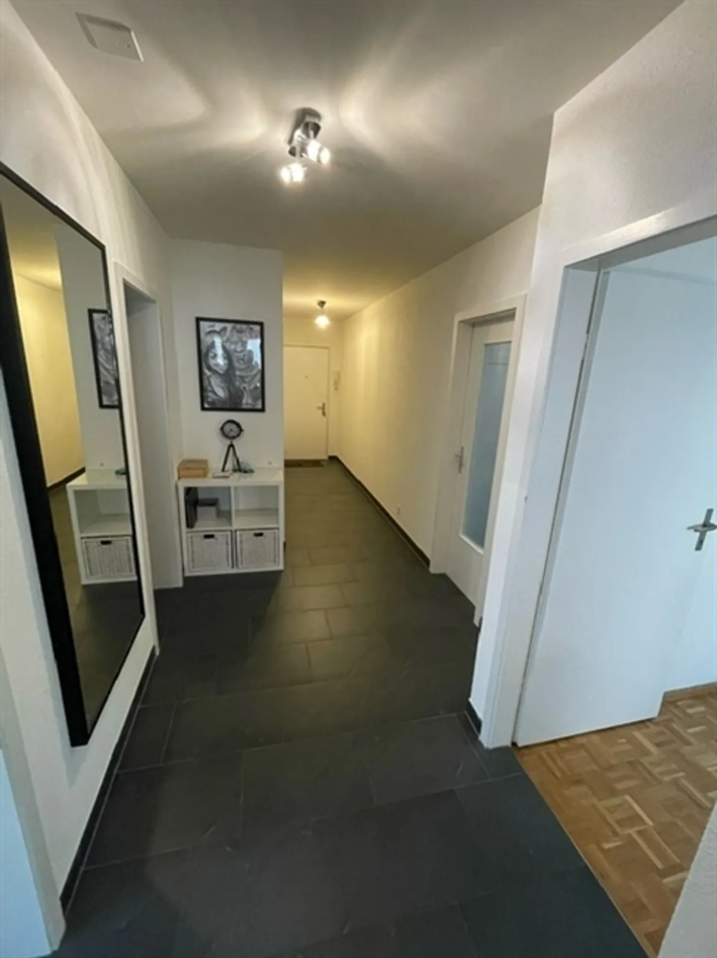 3½ ROOM APARTMENT IN BOTTMINGEN (BL), FURNISHED, TEMPORARY - Photo 9 of 10