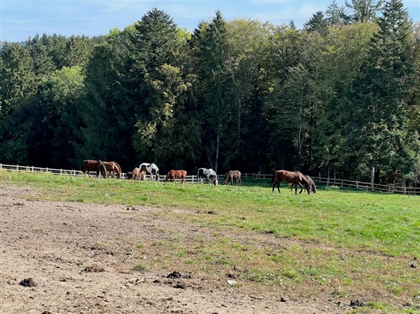 Equestrian Center near Lausanne - Photo 1 of 7