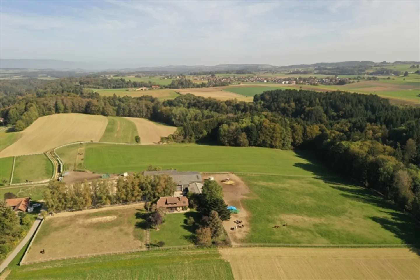 Equestrian Center near Lausanne - Photo 7 of 7