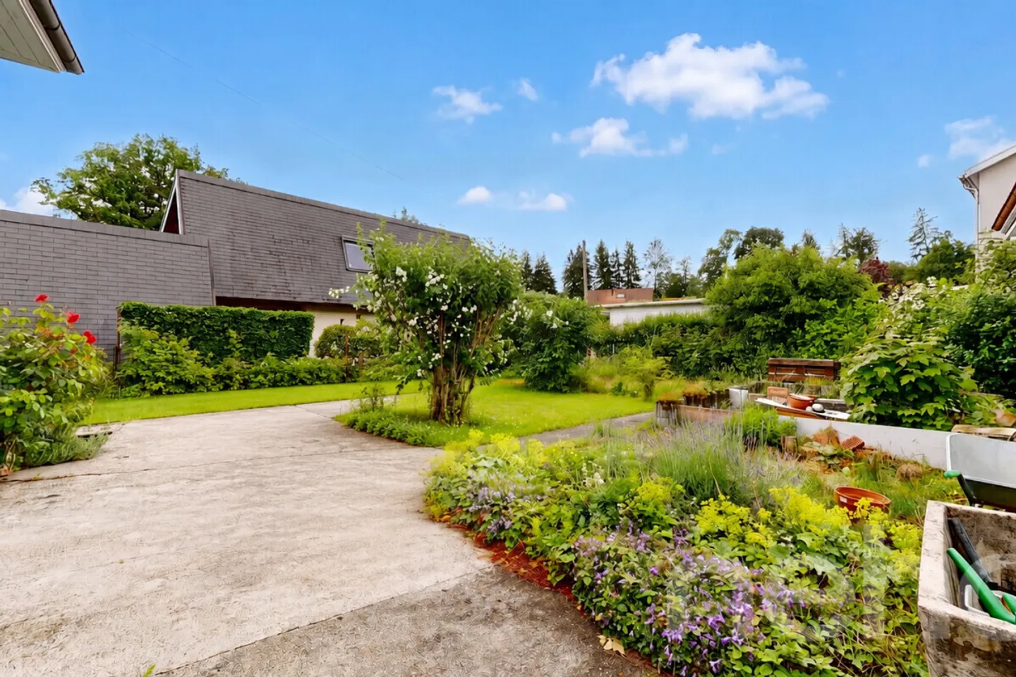 Family house near the forest, large garden and potential - Photo 11 of 12