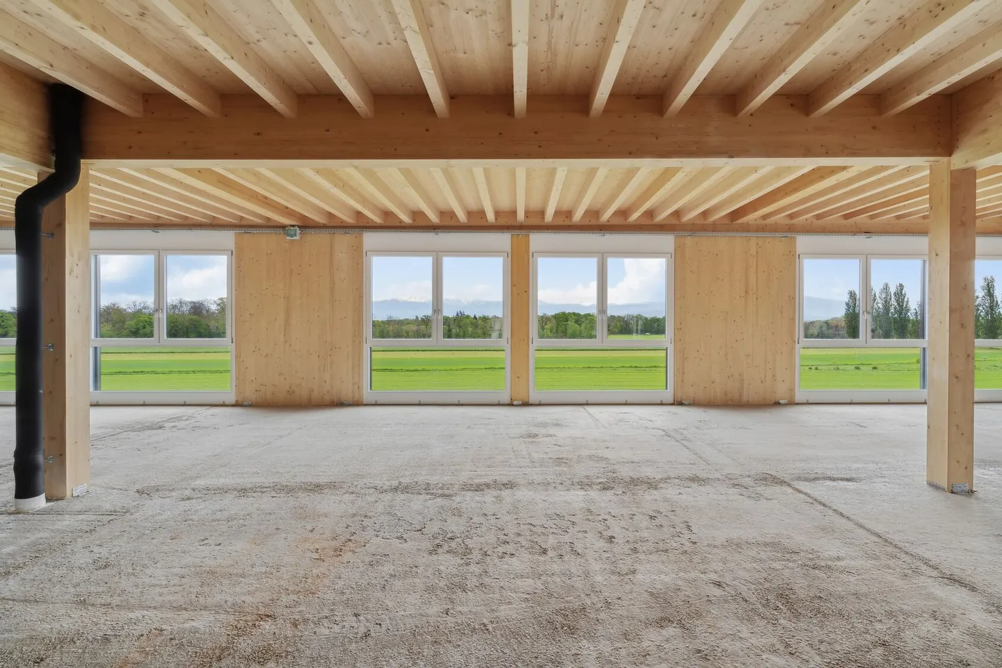 Nuovo a Gland - Grande superficie commerciale - industriale / 600m2 - Foto 9 di 11