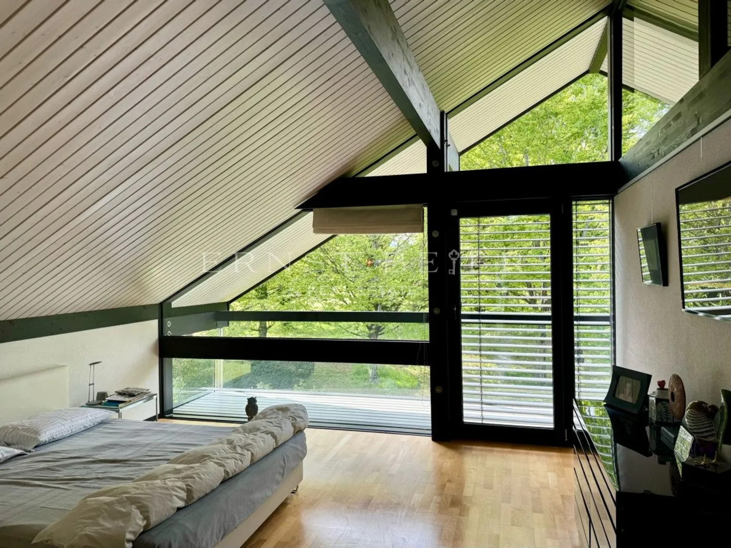 ESCLUSIVITÀ - Villa eccezionale a Vandoeuvres - Foto 5 di 9