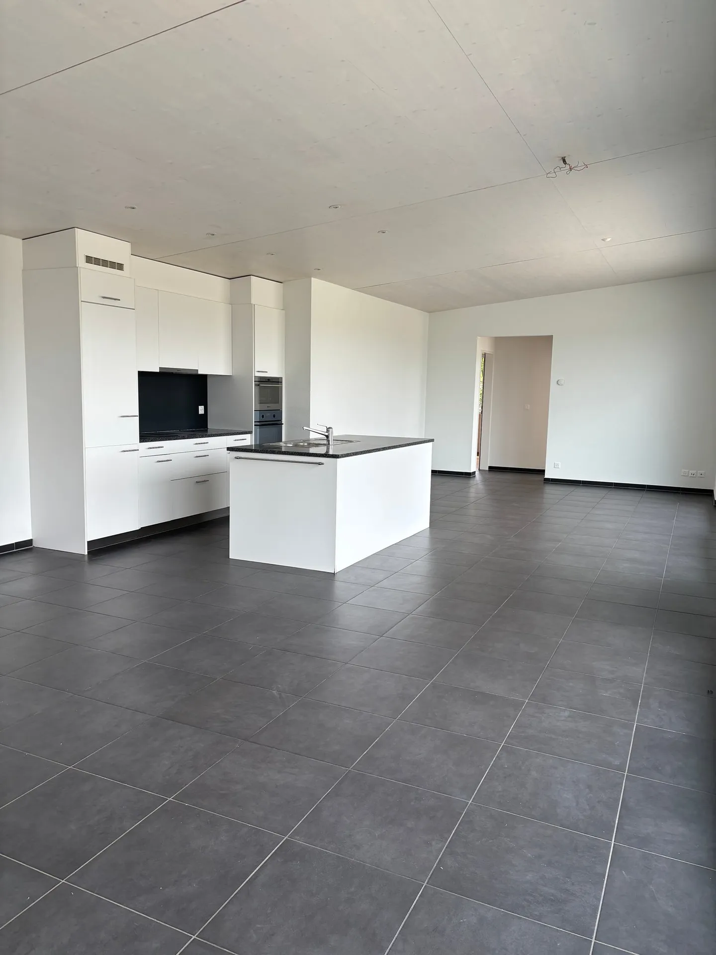 Geräumige Attikawohnung in Dornach - Foto 1 von 26