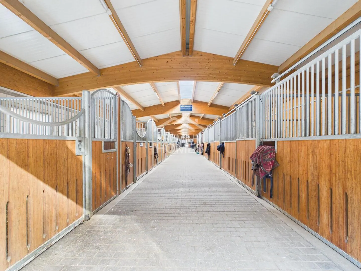 Sports équestres au plus haut niveau - Un paradis pour les chevaux et les cavaliers ! - Photo 1 sur 13