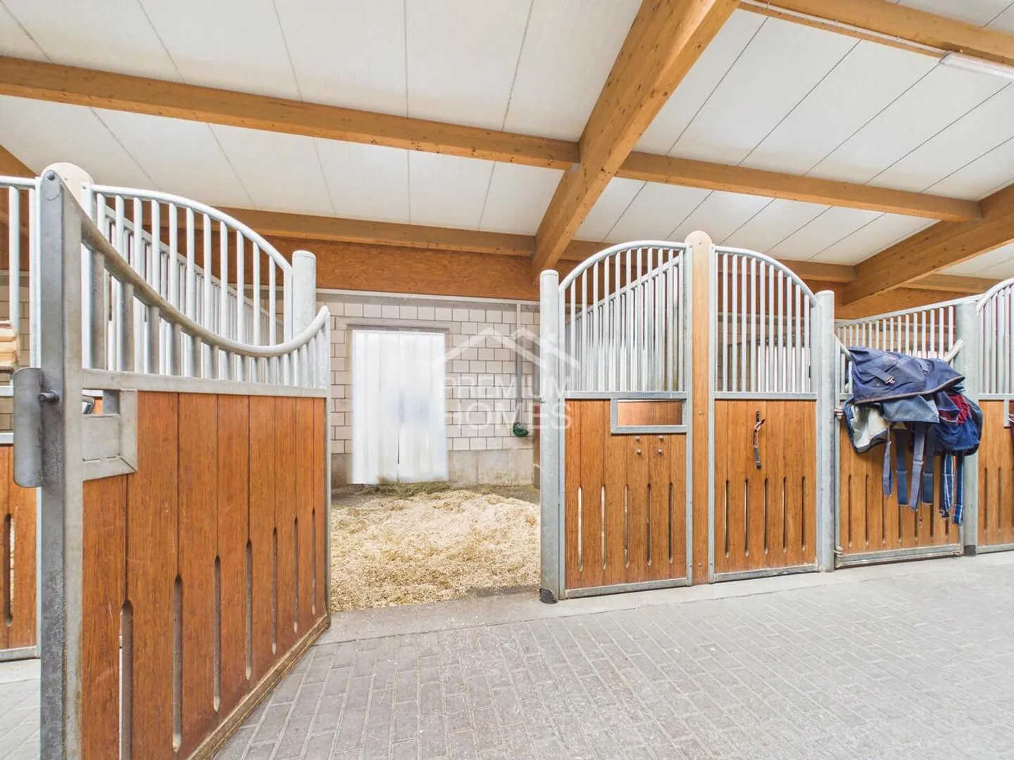 Sports équestres au plus haut niveau - Un paradis pour les chevaux et les cavaliers ! - Photo 3 sur 13