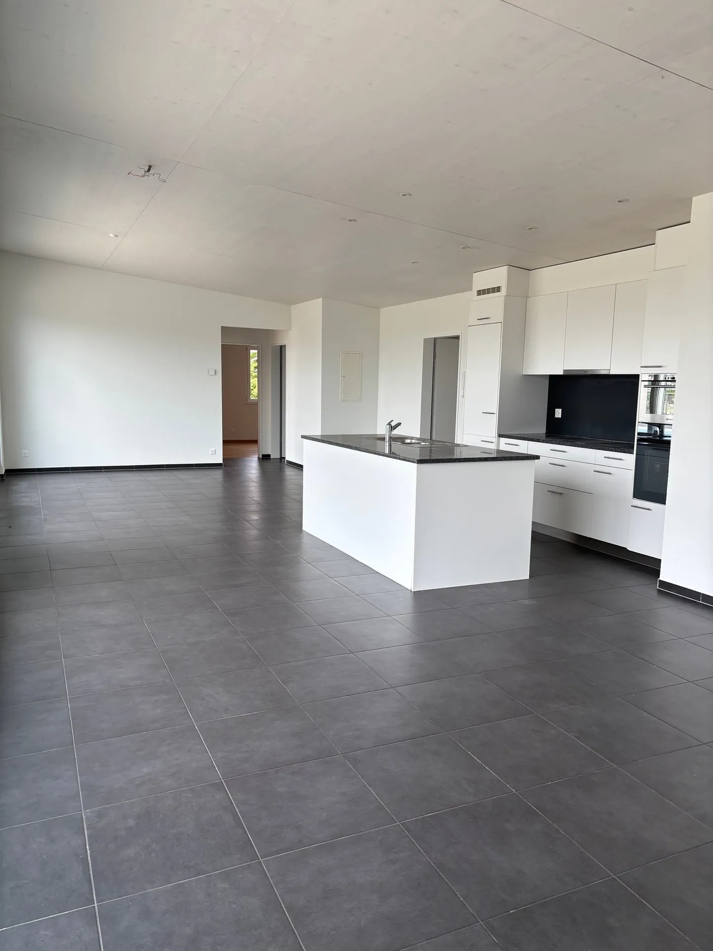 Geräumige Attikawohnung in Dornach - Foto 4 von 26