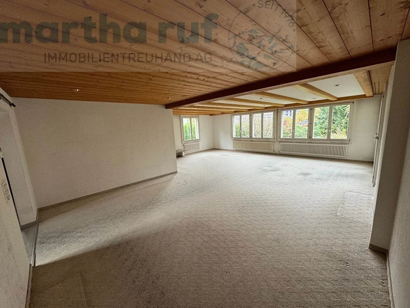 Casa residenziale di 6,5 stanze in una posizione da sogno direttamente sull'Aare - Foto 6 di 23