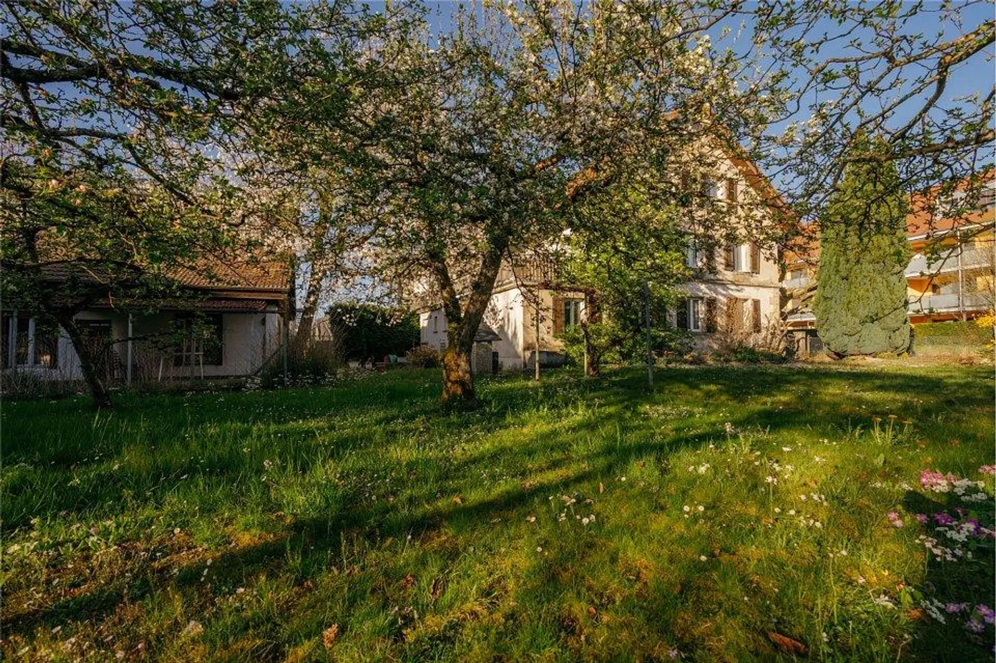 La tua opportunità di progetto: 1'212 m² di terreno edificabile all'interno della zona di costruzione WG3 - Foto 7 di 12