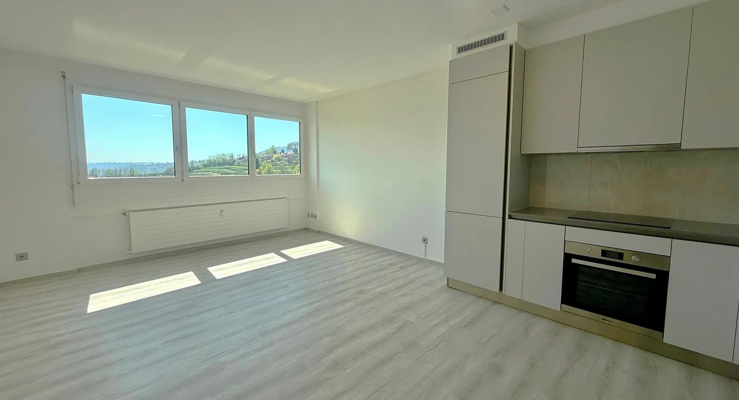 Appartement moderne et rénové de 2,5 pièces à Coldrerio - Photo 1 sur 7