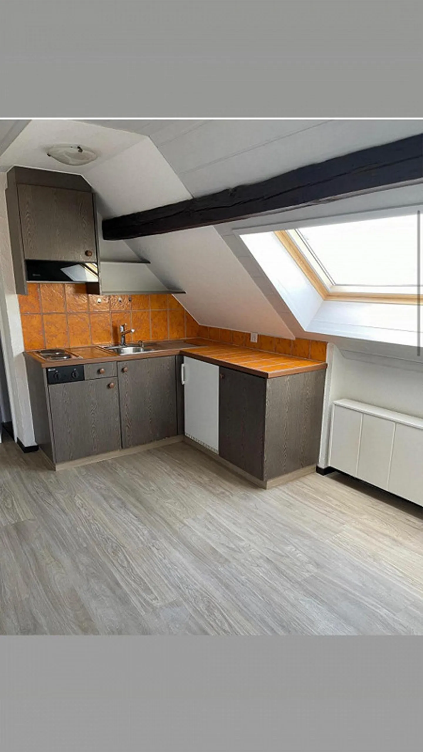 1.5 Room Apartment - Photo 5 of 5