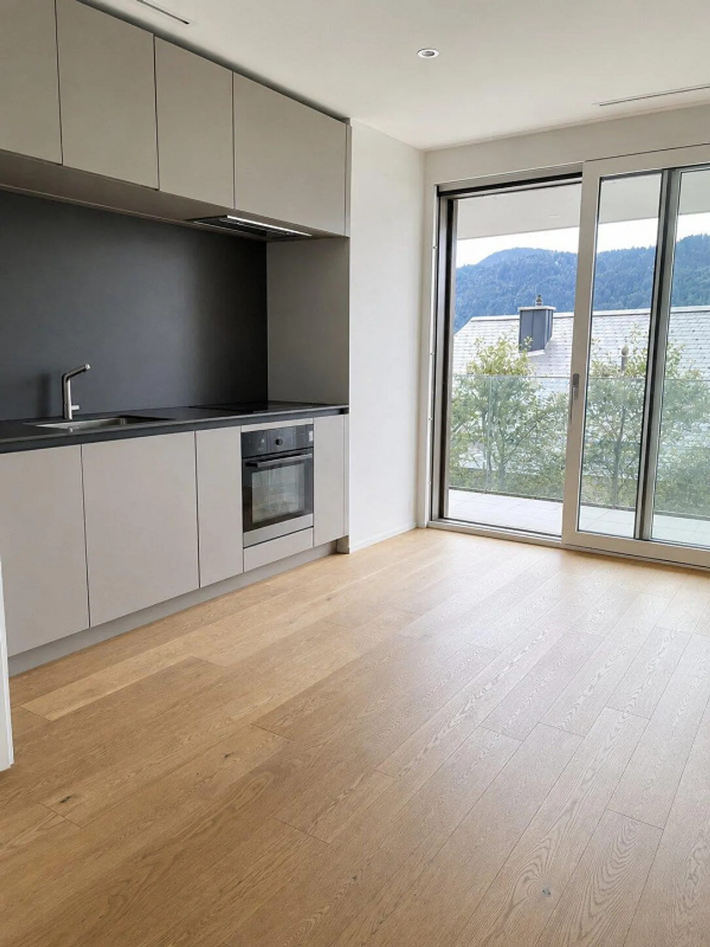 Appartement moderne avec jardin à Unterägeri - Photo 2 sur 8