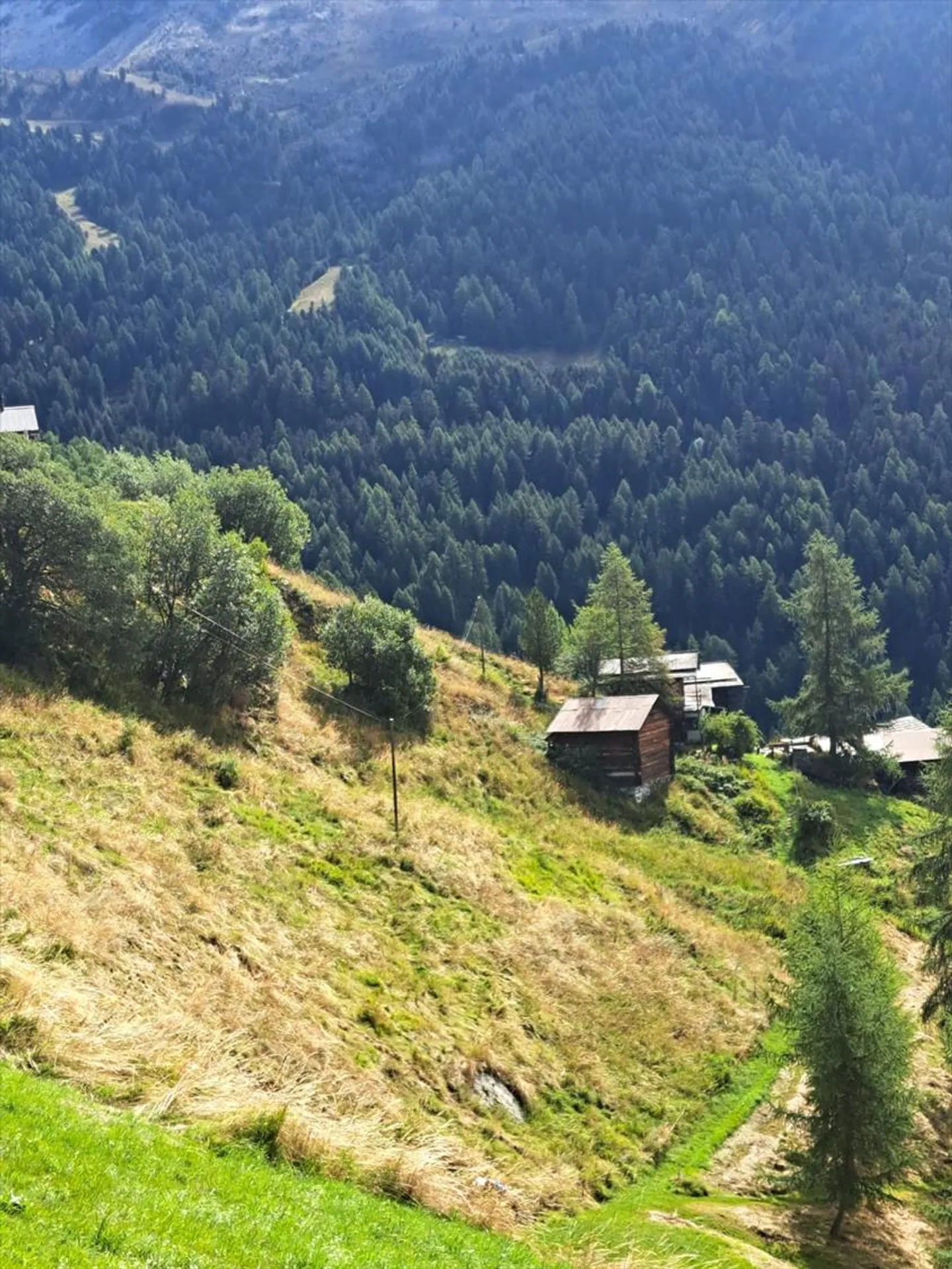 Chalet - Photo 3 sur 4