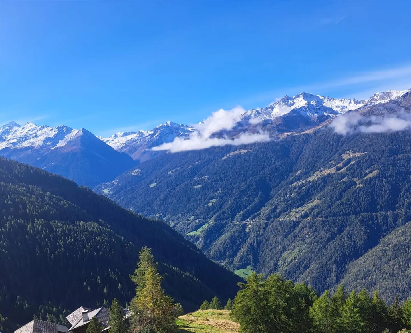 Chalet - Photo 1 sur 4