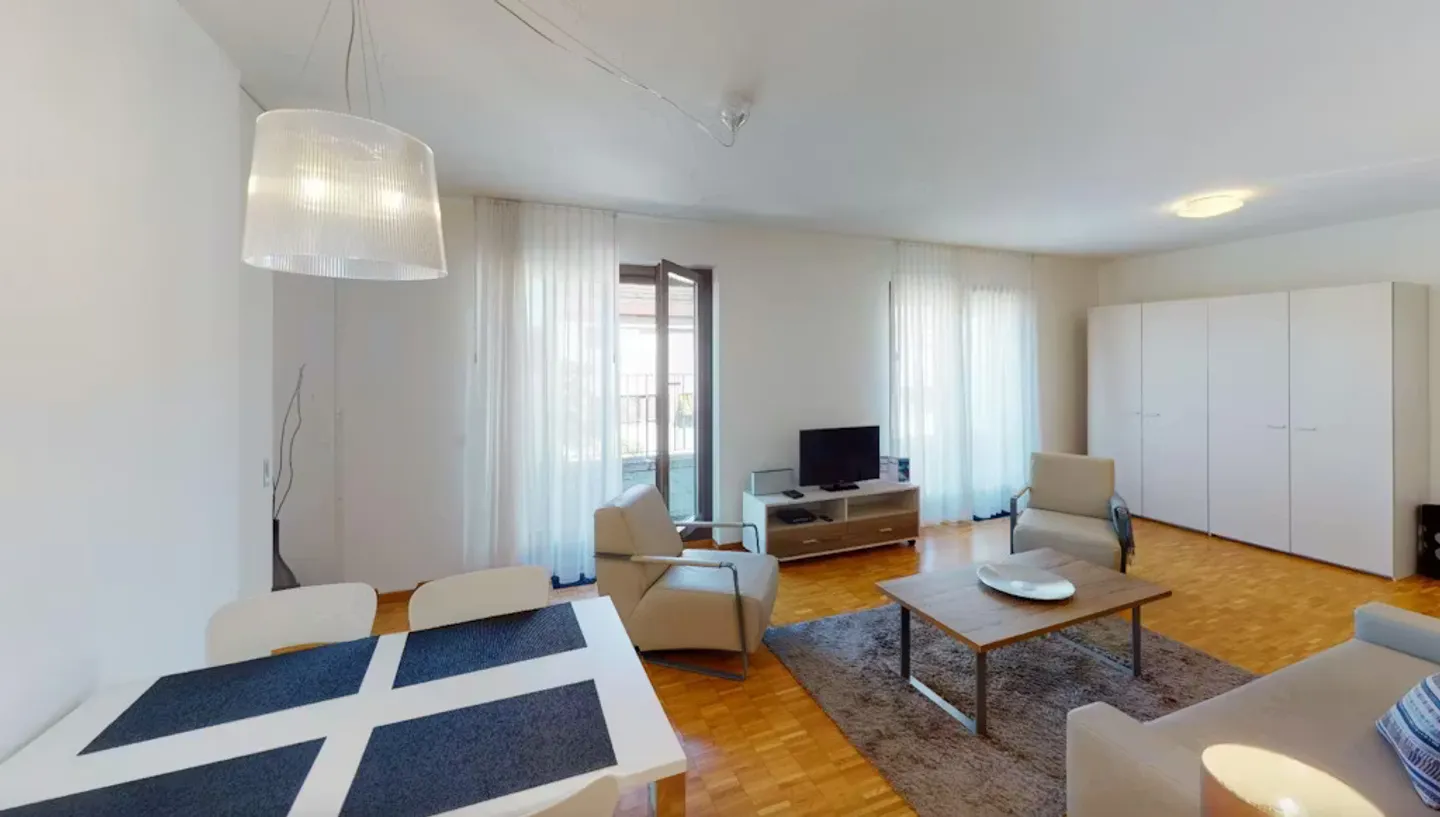 Charming Apartment in Basel - Photo 6 of 10