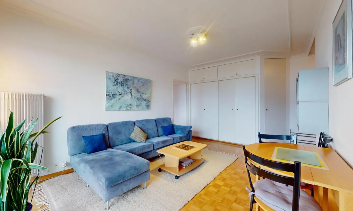 Esclusivo: Bell'appartamento con 2 camere con vista sul Lago di Ginevra - Foto 11 di 13