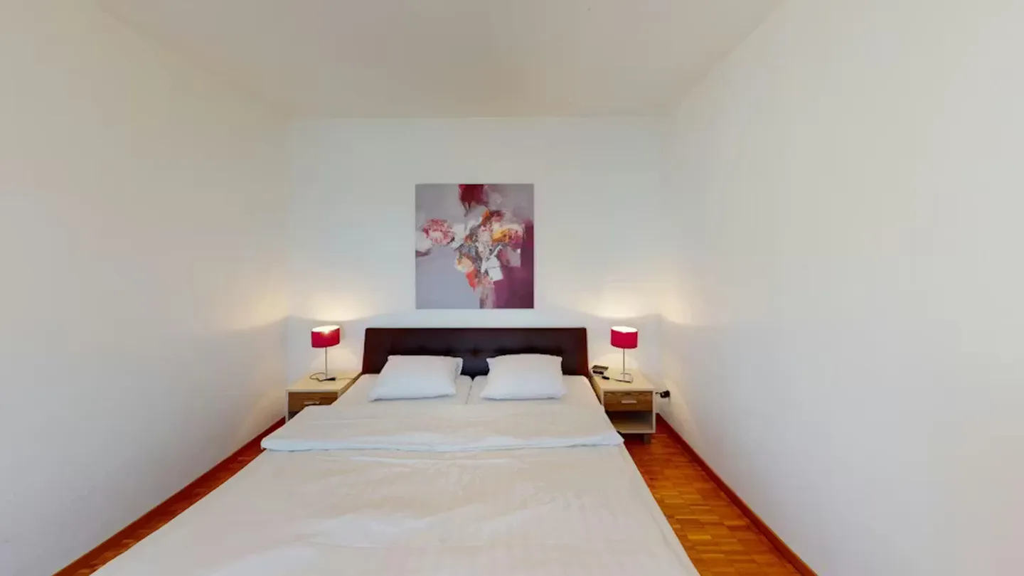 Charming Apartment in Basel - Photo 8 of 10