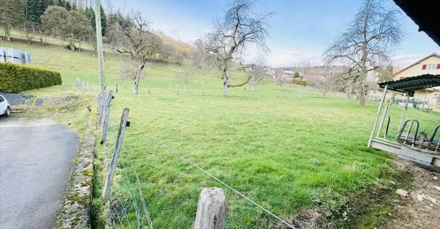 Farm - Photo 6 of 11