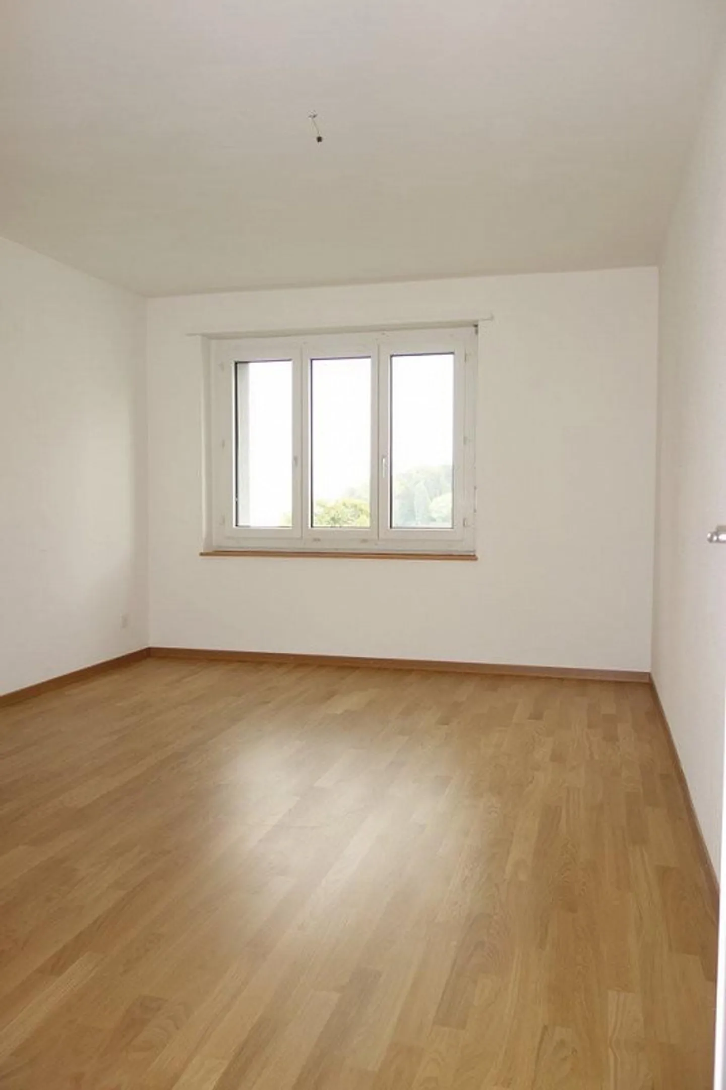 Living near Lake Zurich - Photo 4 of 7