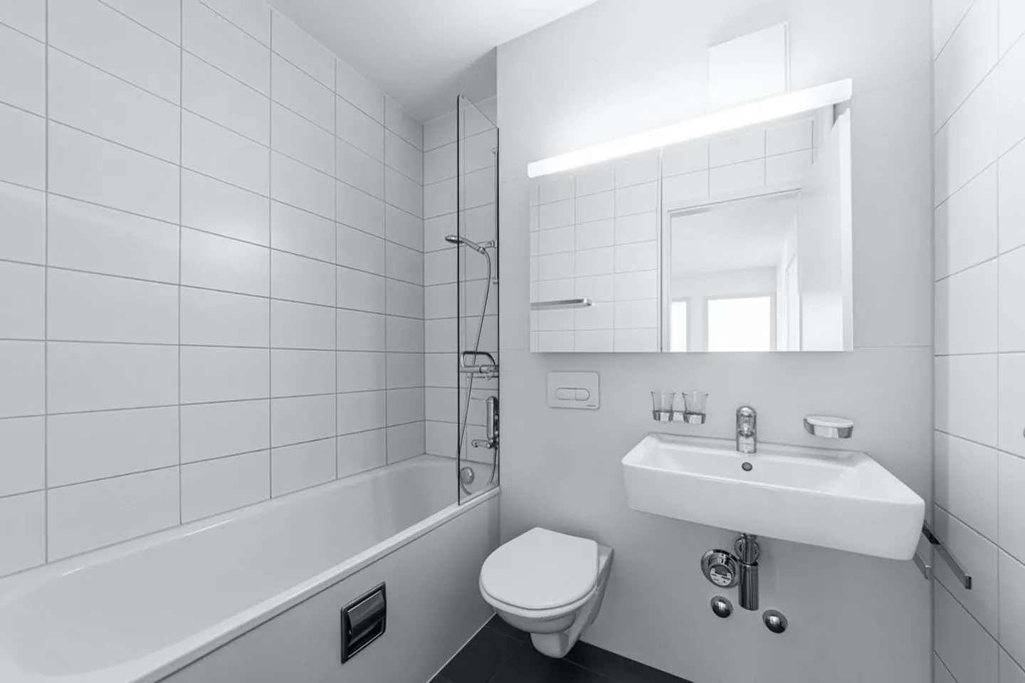 Vivre avec vue à Birsfelden recherché ? - Photo 5 sur 5