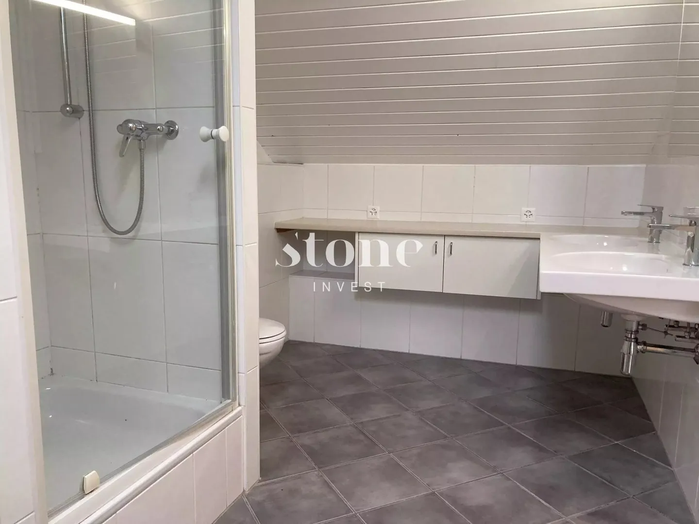 Magnifique DUPLEX au 3ème étage à Carouge - Photo 12 sur 13