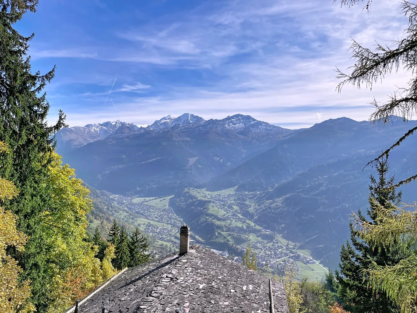 UNDER THE PINE - Photo 2 of 11