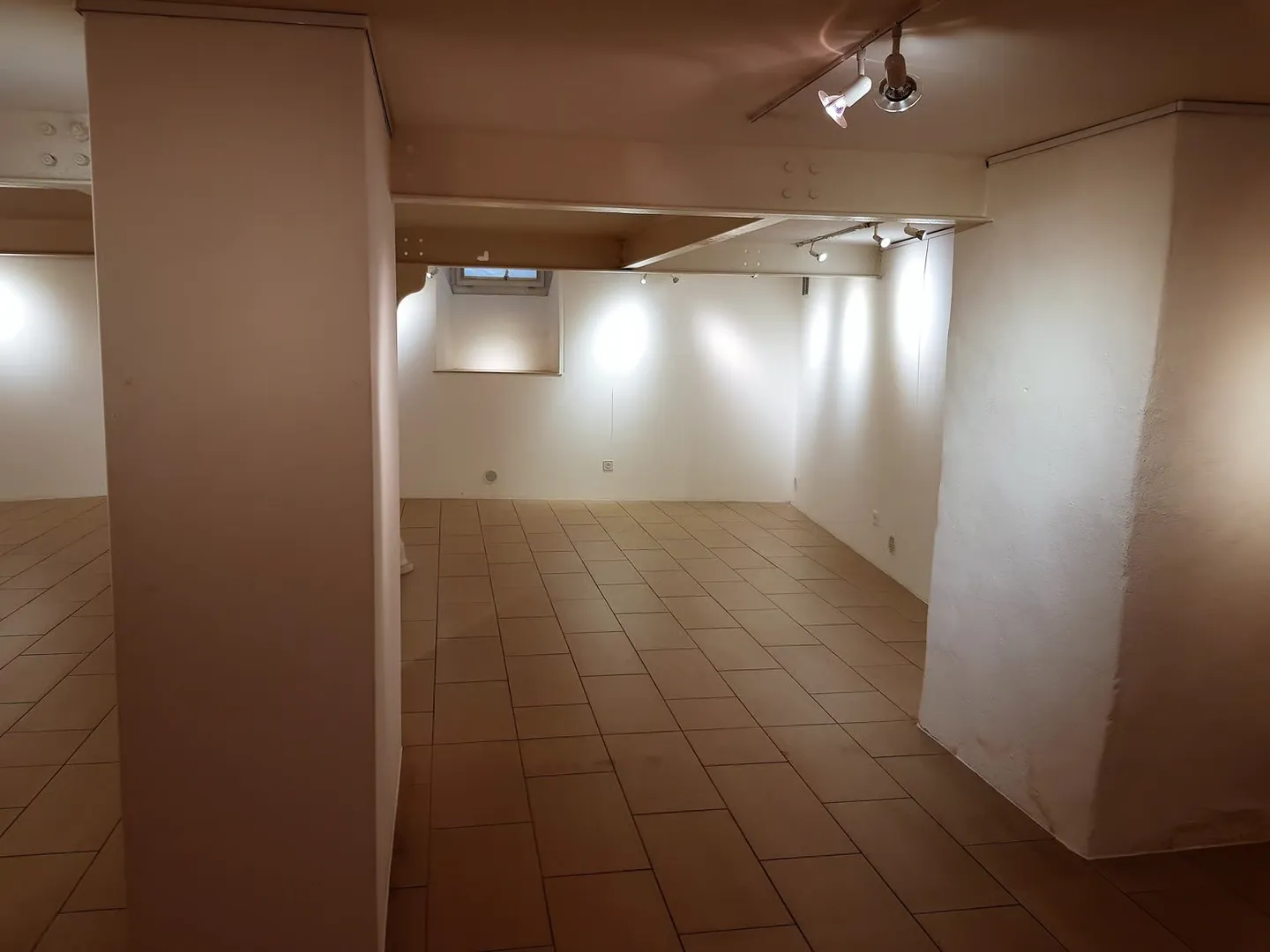 Gewerbefläche in Valangin - Foto 11 von 13