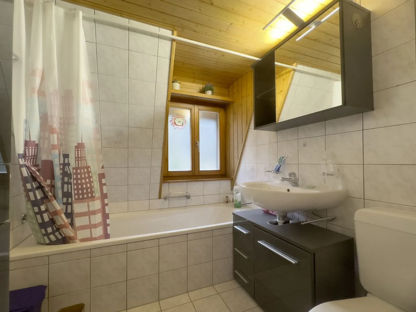 Charming Apartment in Morcles - Photo 9 of 13