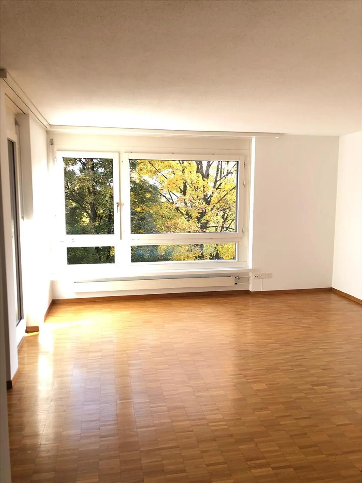 1.5 Room Apartment - Photo 2 of 5