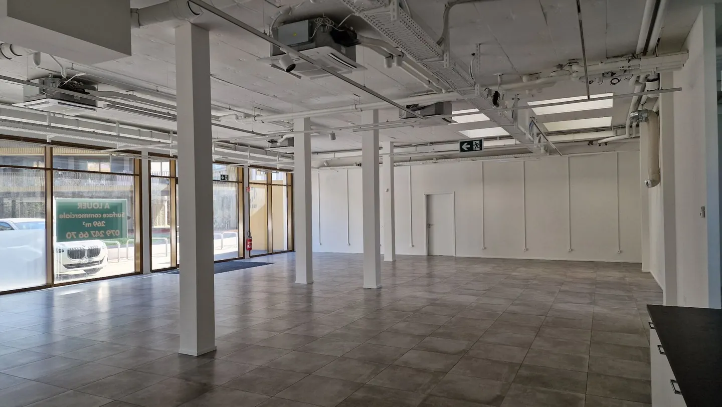 Letzte teilbare Gewerbefläche von 269 bis 739 m2 in einem dynamischen, sich entwickelnden Gebiet. - Foto 5 von 9