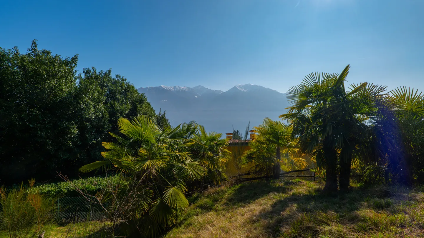 Land in a quiet area with lake view - Photo 5 of 10