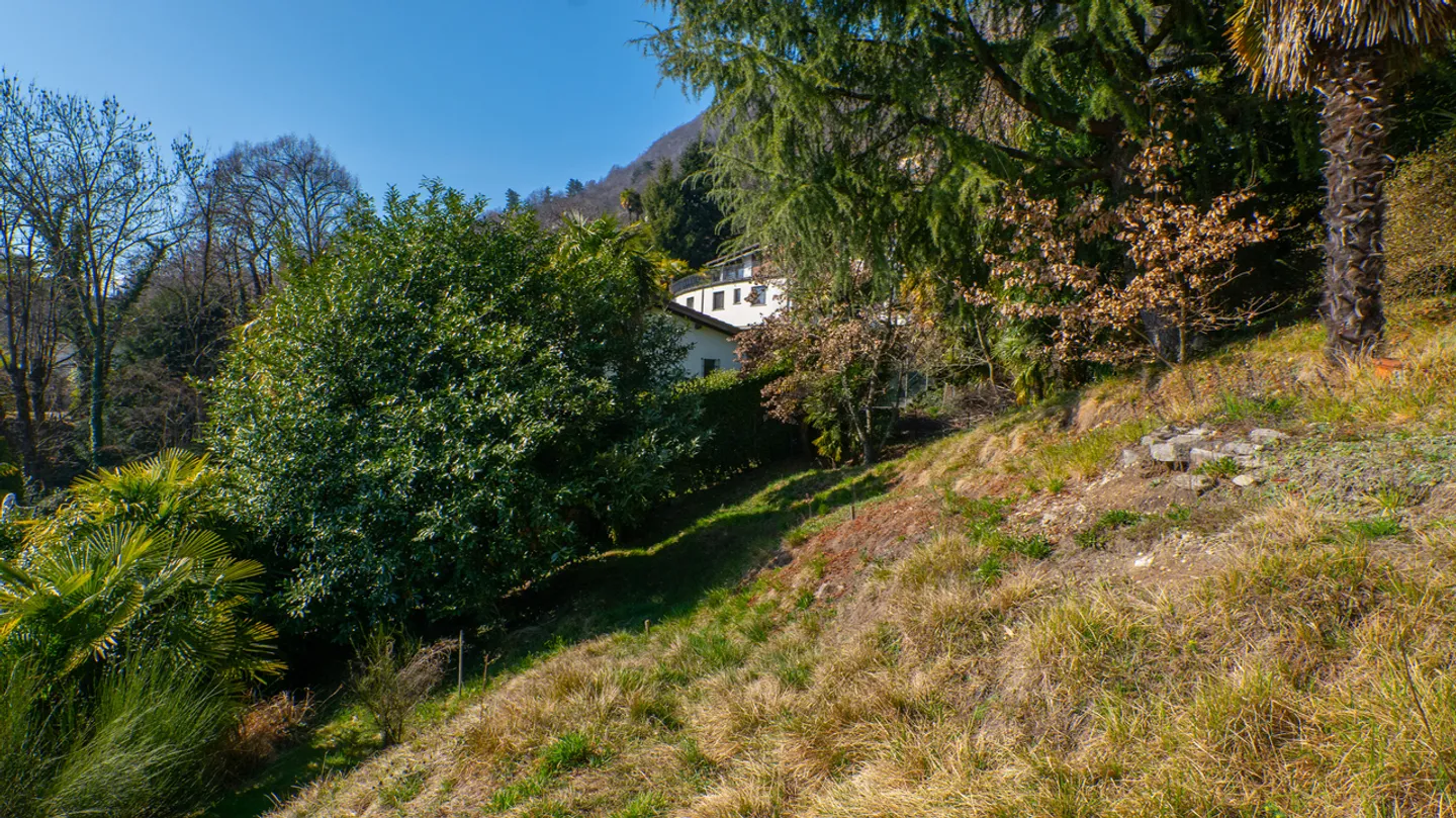 Land in a quiet area with lake view - Photo 9 of 10