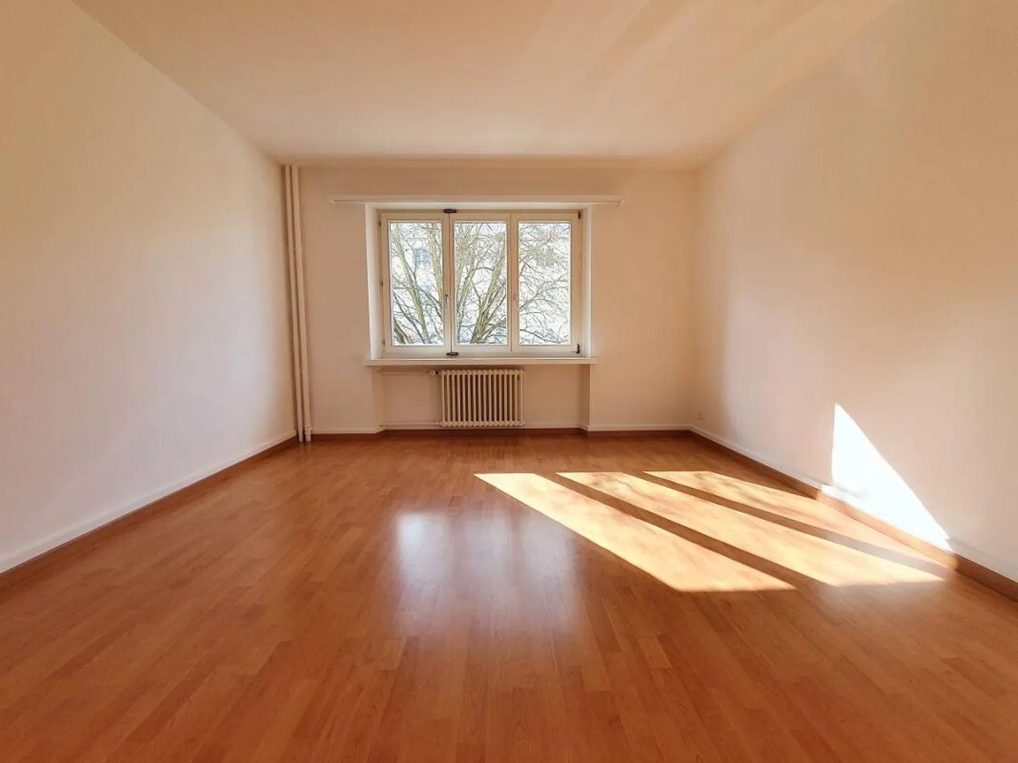 Beautiful, bright apartment just 1 minute from the Rhine river - Photo 5 of 11